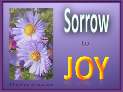 Sorrow to Joy
